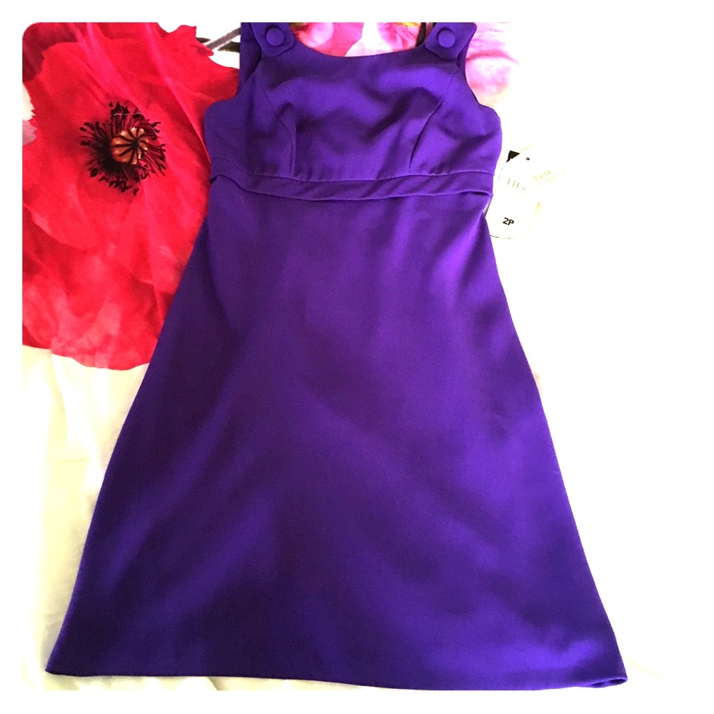 Donna Ricco Dress NWT